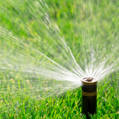 Irrigation Gallery