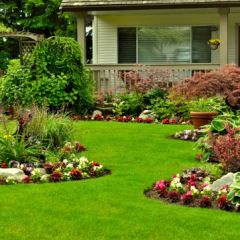 LANDSCAPE PROJECTS