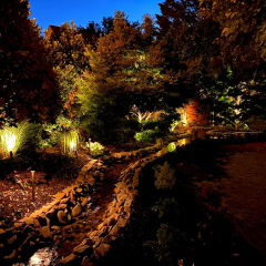 Landscape-Transformation-with-Lighting-Stone-Features-in-Salem-SC-2