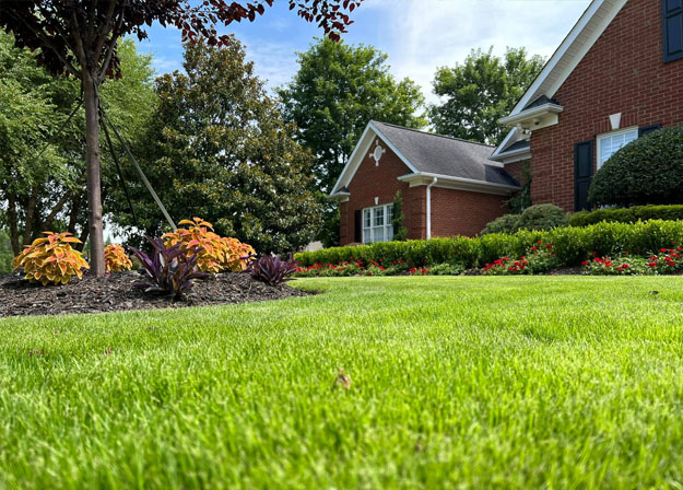 Cochran Landscape Management, Inc.'s video