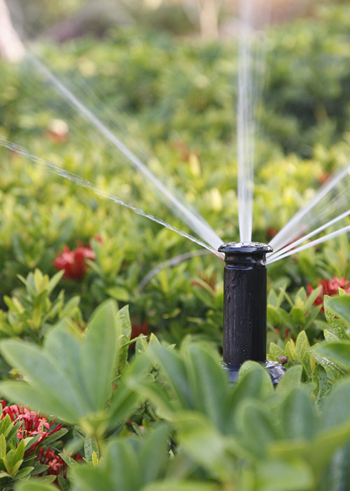 Cochran Landscape Irrigation video